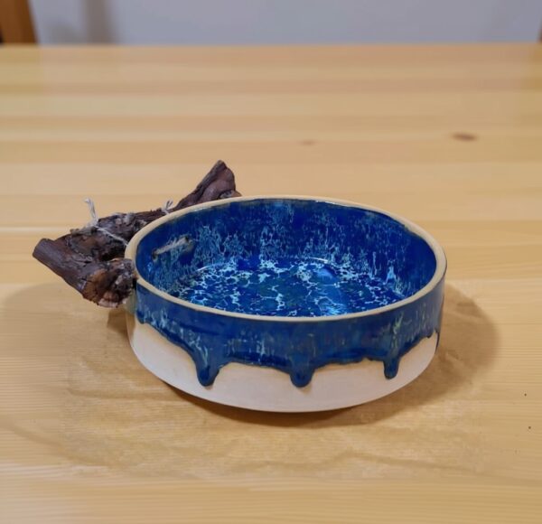 ظرف پذیرایی